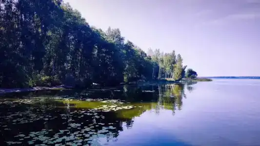 Волна - 55