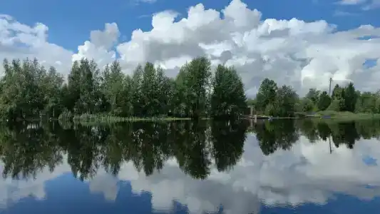 База отдыха у Олеговича - 0