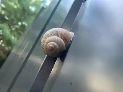 Рай в шалаше (Кусочек рая в соснах) - 18