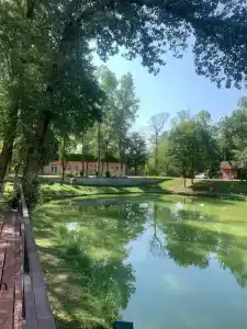Комарово клуб - 30