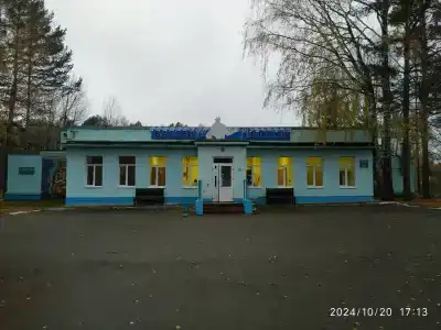 Чайка - 25