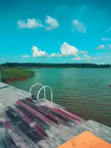 Лесное озеро - 9