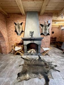 Энергетик - 46