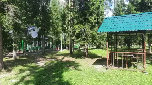 Сосновый берег - 82