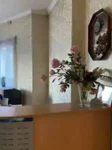 Рязанский дворик - 21