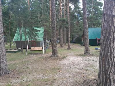 Медведь - 17