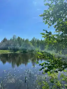 Степанцы - 4