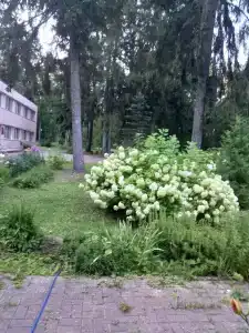 Кристалл - 61