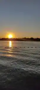 Золотая Ива - 3