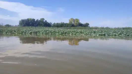 Рыбацкий приют - 12