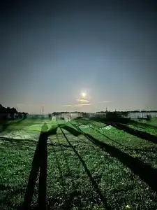 Ошмес - 5