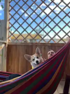 Пилигрим - 14