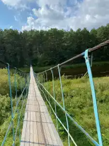 Лесотерапия - 4