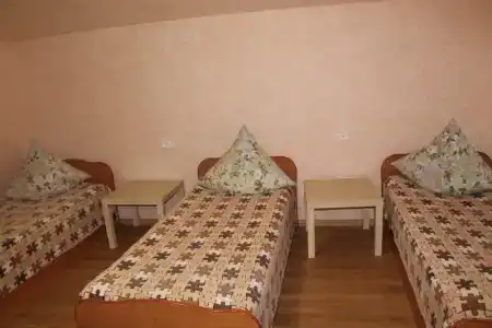Путник - 10