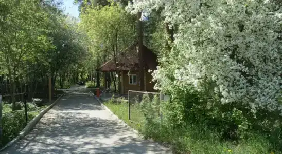 Куделька - 5