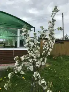 Лукоморье - 91