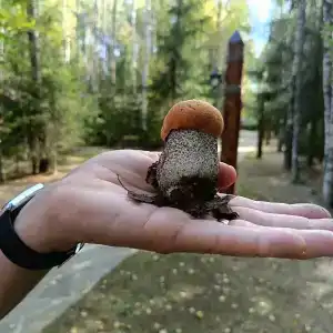 Селигерское заплавье - 46