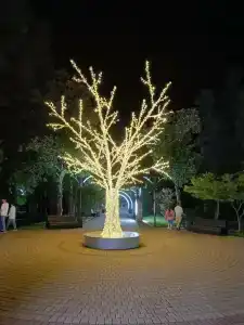 Валео - 36