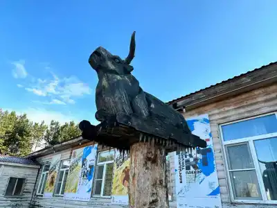 Баргуджин Токум - 7
