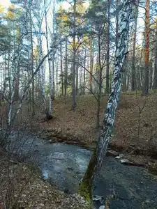Каштак - 61