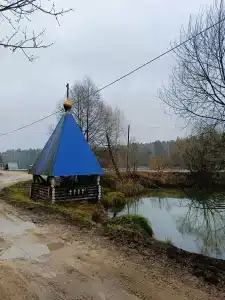 Селькин пруд - 35