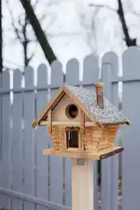 Сирин дом - 10