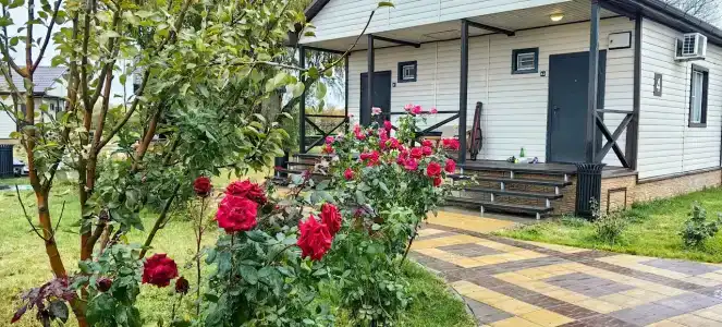 ПЛЕСъ - 54