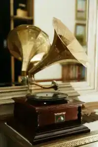 Елизарово - 12