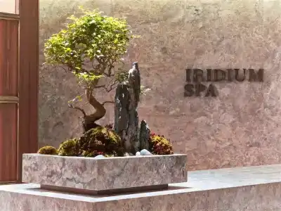 The St. Regis Istanbul - 11