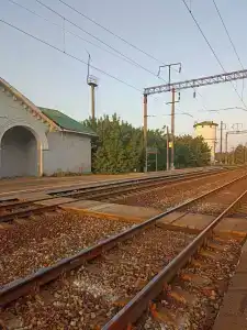 Борок - 79