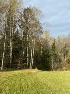 ДаблДача Каштан - 41