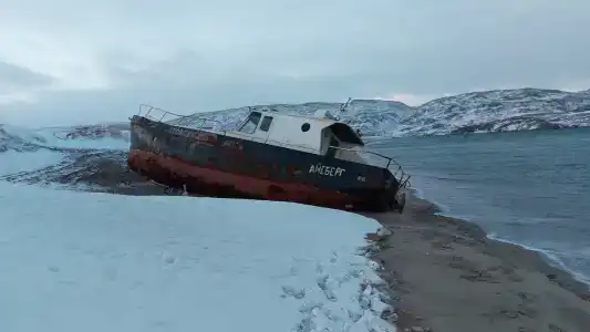 Морошка - 36