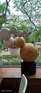 Prince Palace - Sha Extra Plus - 37