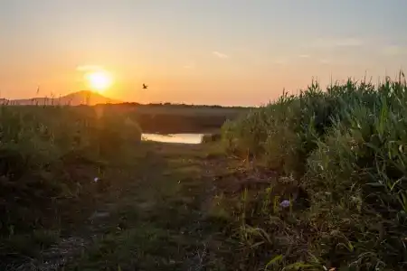 Рейд Паллада - 6