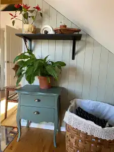 Пенеснарь - 37