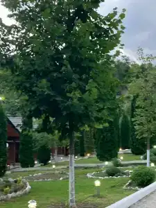 Нихалой - 39