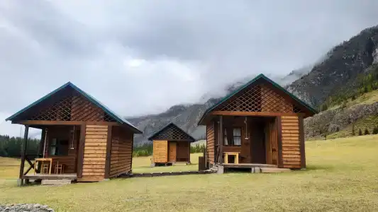 Арника - 0