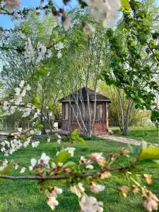 Рыбоход - 9