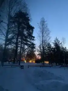 Ветер в соснах - 6