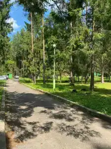Сосновый берег - 88