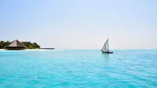Bibee Maldives - 39