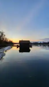 Роза Ветров - 25