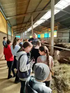 Каникулы на Люнде - 14