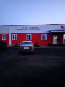 Дикая Вишня - 7