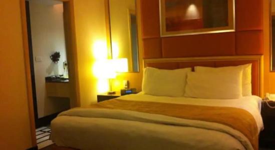 Lemon Tree Premier, Jaipur - 21