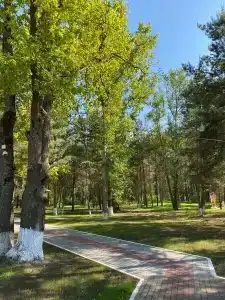 Тайна - 8