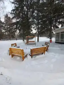 Вогульский крокодил - 32