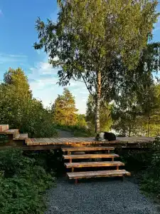 Лунный свет - 19