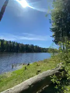Железинка - 5