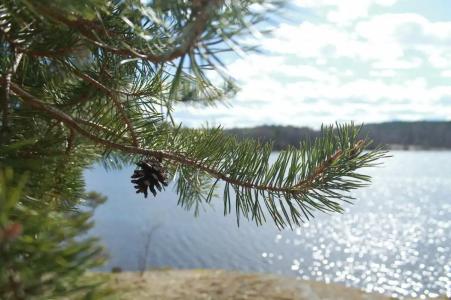 Микли-Ольгино - 70